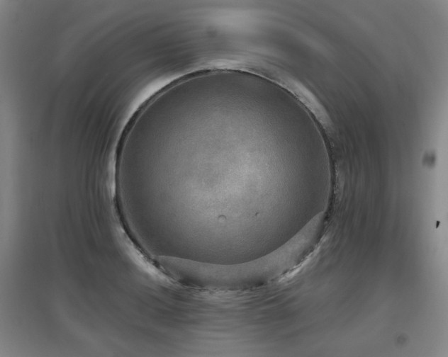 X0000097611036200802291257
