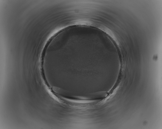 X0000097611037200802291257