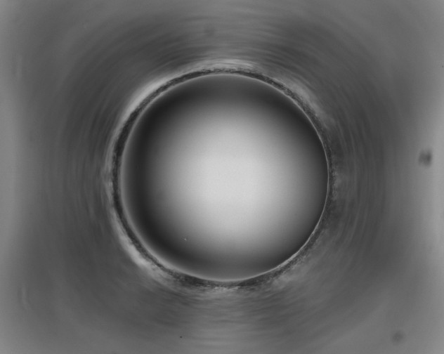 X0000097611038200802291257