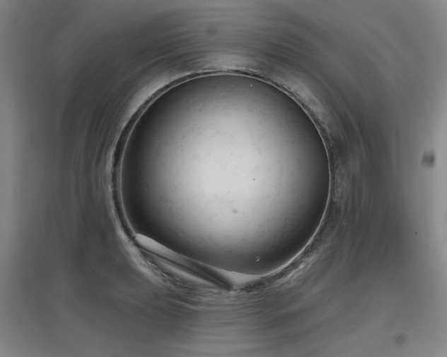 X0000097611039200802291257