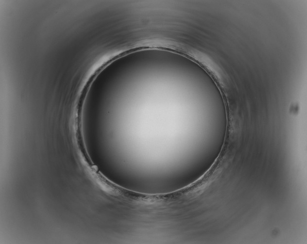 X0000097611040200802291257