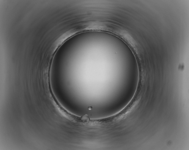 X0000097611041200802291257