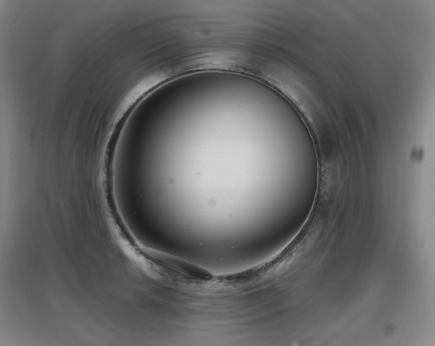X0000097611042200802291257
