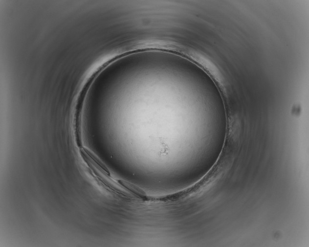X0000097611043200802291257