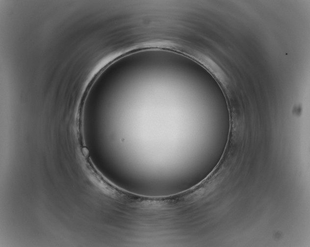 X0000097611044200802291257