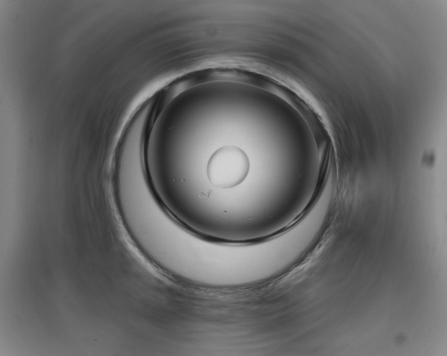 X0000097611045200802291257