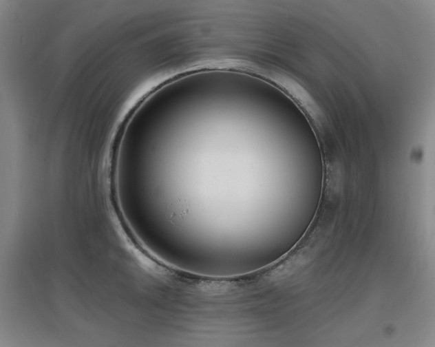X0000097611046200802291257