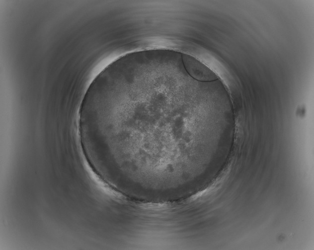 X0000097611047200802291257