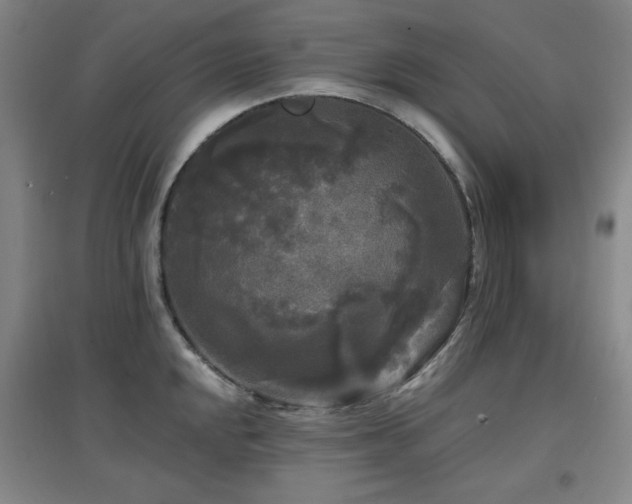X0000097611048200802291257