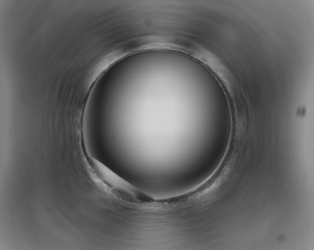 X0000097611049200802291257