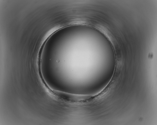 X0000097611050200802291257