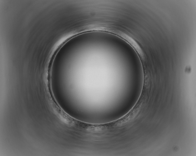 X0000097611051200802291257