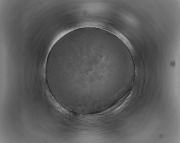X0000097611052200802291257