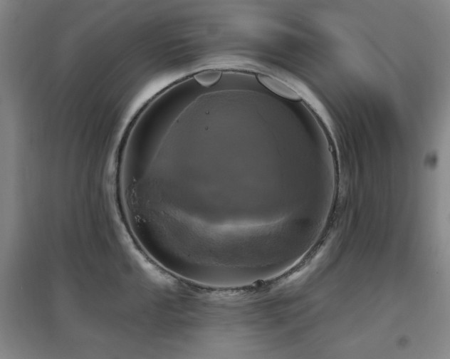X0000097611053200802291257