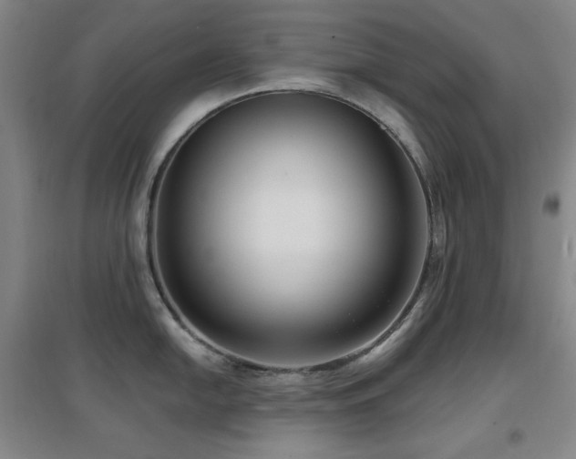 X0000097611054200802291257