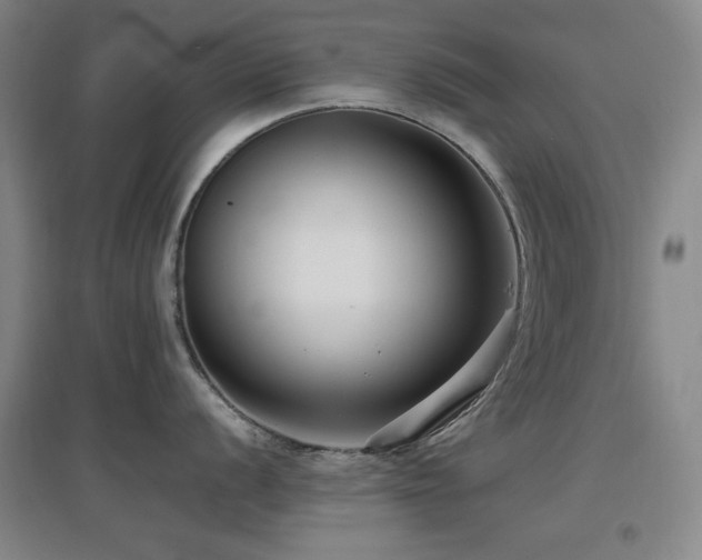 X0000097611056200802291257