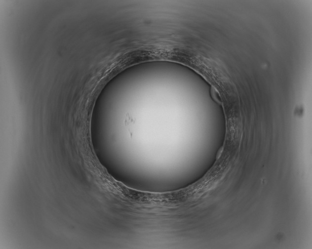 X0000097611057200802291257