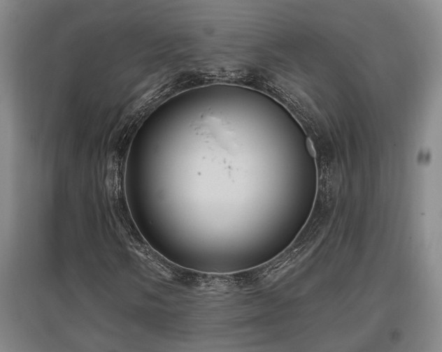 X0000097611058200802291257