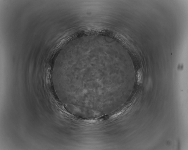 X0000097611059200802291257