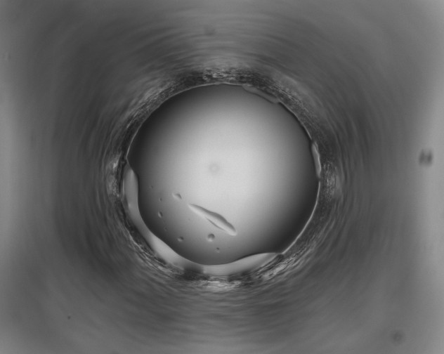 X0000097611060200802291257