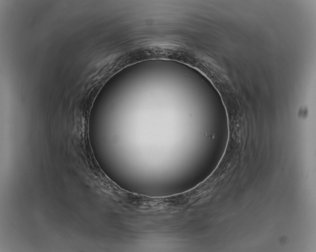 X0000097611061200802291257