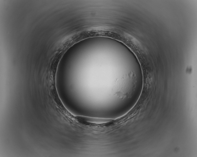 X0000097611062200802291256