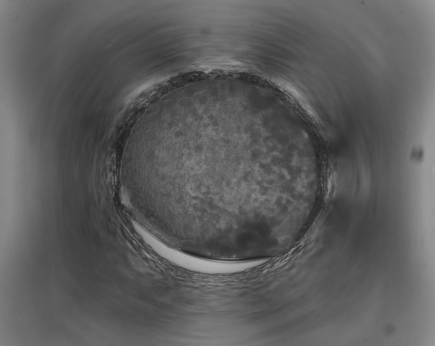 X0000097611063200802291256