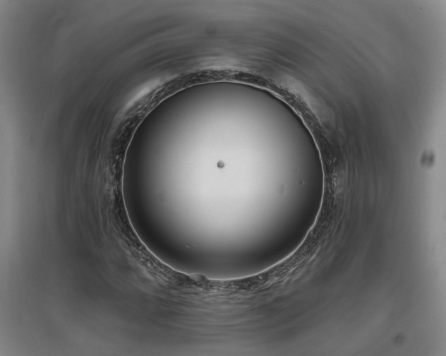 X0000097611064200802291256