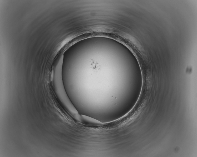 X0000097611065200802291256