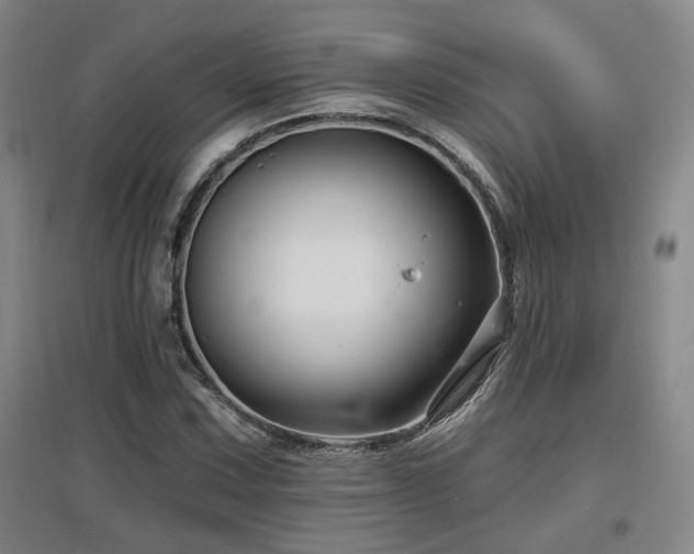 X0000097611067200802291256