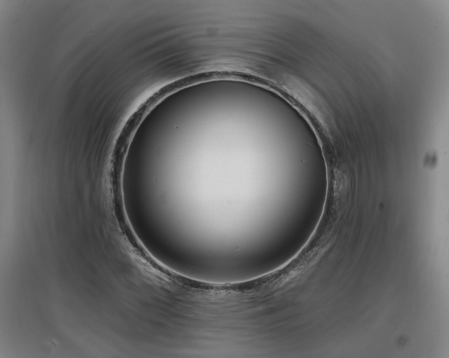 X0000097611068200802291256