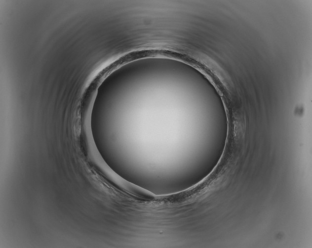 X0000097611069200802291256