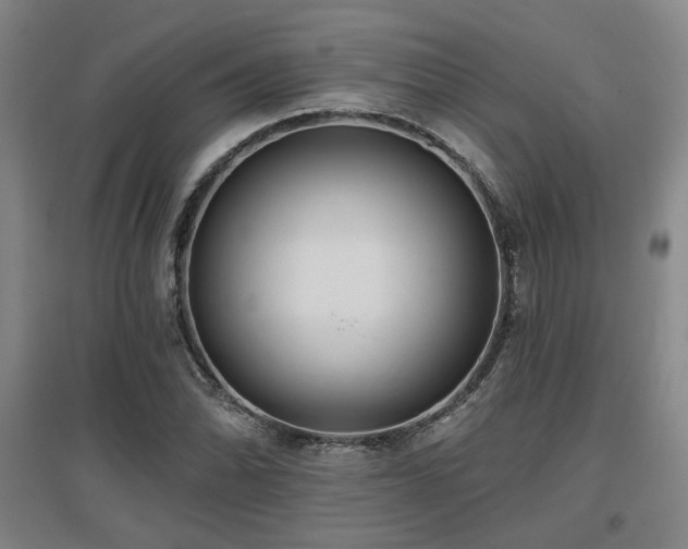 X0000097611070200802291256