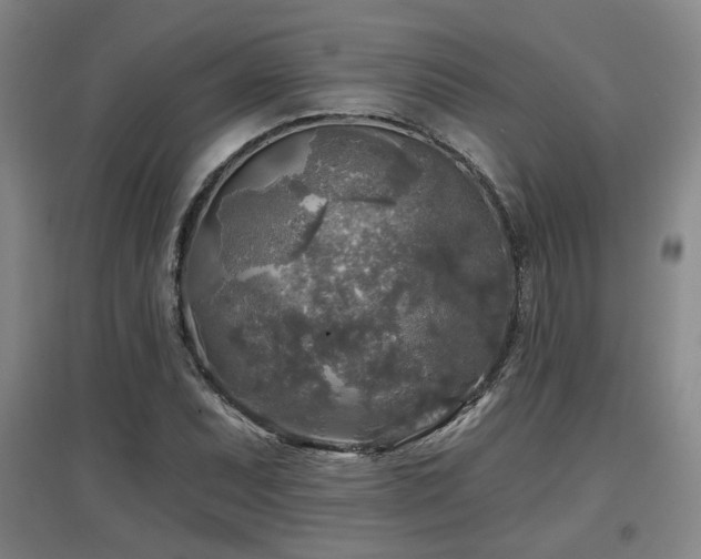 X0000097611071200802291256