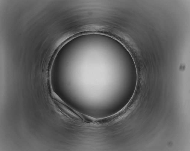 X0000097611073200802291256