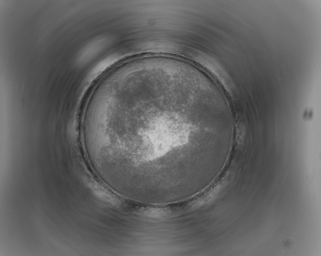 X0000097611074200802291256