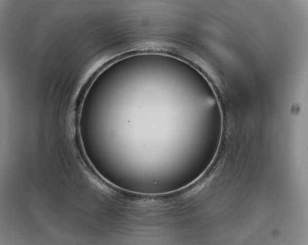 X0000097611075200802291256