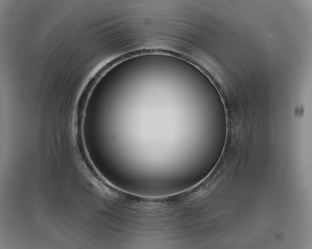 X0000097611076200802291256