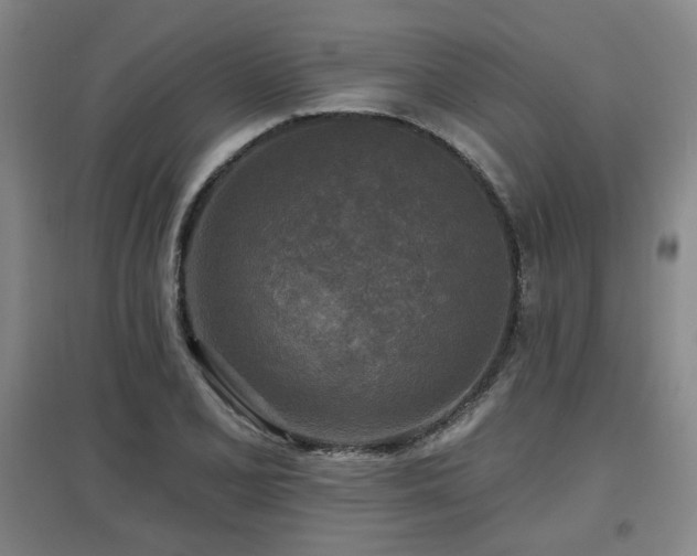 X0000097611077200802291256