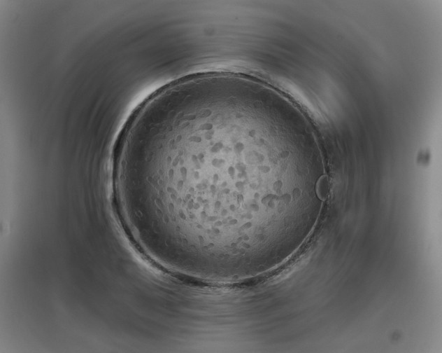 X0000097611079200802291256