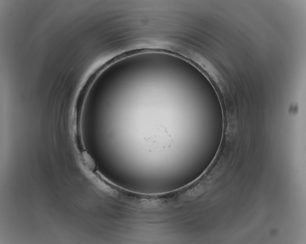 X0000097611080200802291256