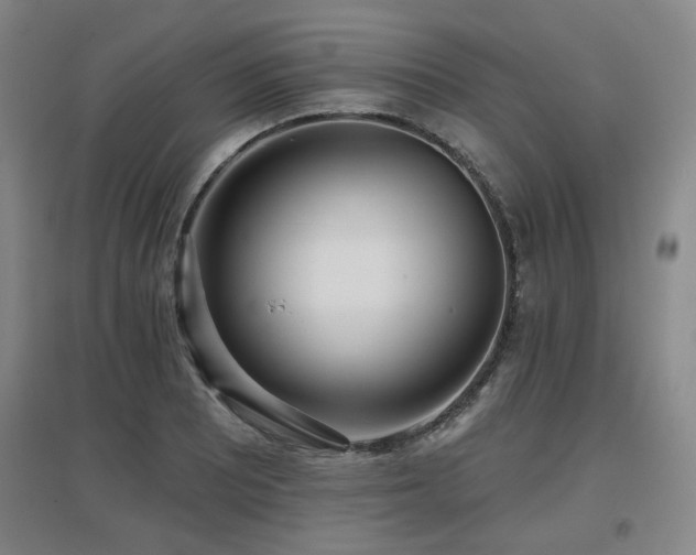 X0000097611081200802291256