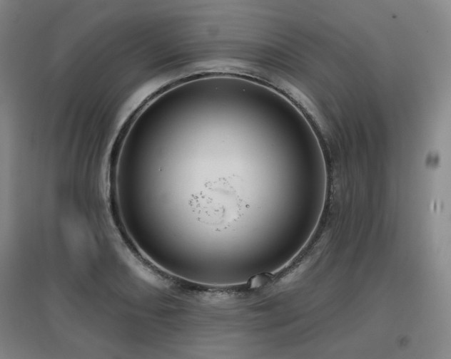 X0000097611082200802291256