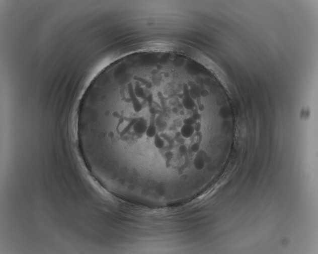 X0000097611083200802291256