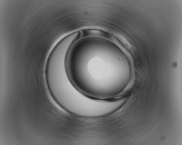 X0000097611084200802291256