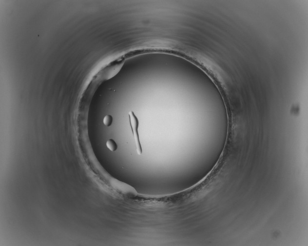 X0000097611085200802291256
