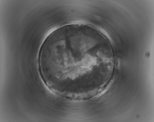 X0000097611087200802291256