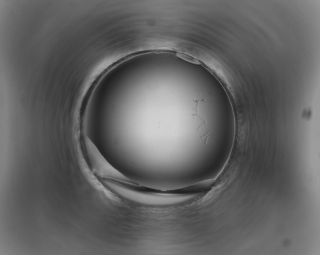 X0000097611088200802291256