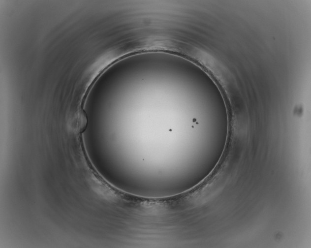 X0000097611089200802291256