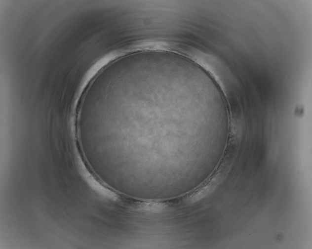 X0000097611090200802291256